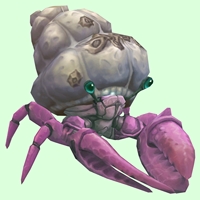 Pink Hermit Crab w/ Barnacled Shell