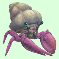 Pink Hermit Crab w/ Plain Shell