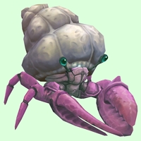 Pink Hermit Crab w/ Plain Shell