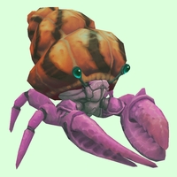 Pink Hermit Crab w/ Orange & Black Shell