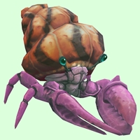 Pink Hermit Crab w/ Orange & Black Shell