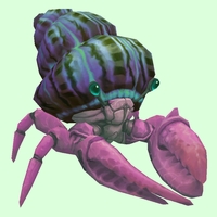 Pink Hermit Crab w/ Purple & Green Shell