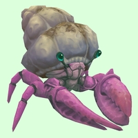 Pink Hermit Crab w/ Sandy Shell