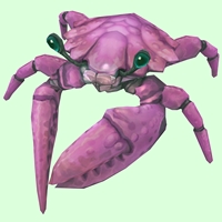 Pink Crab