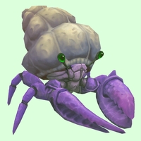 Purple Hermit Crab w/ Plain Shell