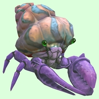 Purple Hermit Crab w/ Pale Orange & Blue Shell