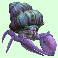 Purple Hermit Crab w/ Purple & Green Shell