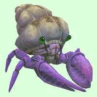 Purple Hermit Crab w/ Sandy Shell