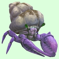 Purple Hermit Crab w/ Sandy Shell