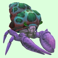 Purple Hermit Crab w/ Green-Spotted Teal Shell