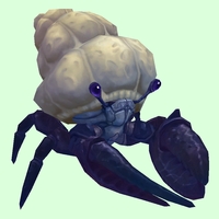 Indigo Hermit Crab w/ Plain Shell