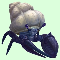 Indigo Hermit Crab w/ Plain Shell