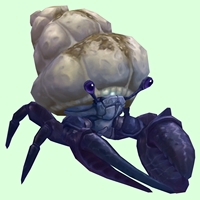 Indigo Hermit Crab w/ Sandy Shell