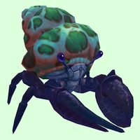Indigo Hermit Crab w/ Green-Spotted Teal Shell