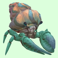 Teal Hermit Crab w/ Pale Orange & Blue Shell
