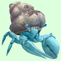 Light Blue Hermit Crab w/ Barnacled Shell