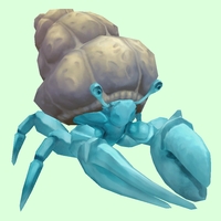 Truesilver Hermit Crab