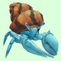 Light Blue Hermit Crab w/ Orange & Black Shell