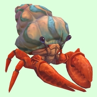 Vermilion Hermit Crab w/ Pale Orange & Blue Shell