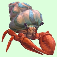 Vermilion Hermit Crab w/ Pale Orange & Blue Shell