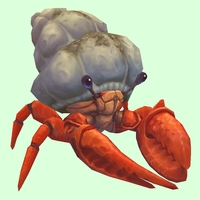Vermilion Hermit Crab w/ Sandy Shell