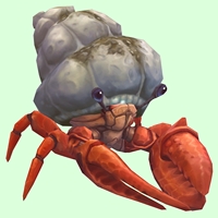 Vermilion Hermit Crab w/ Sandy Shell