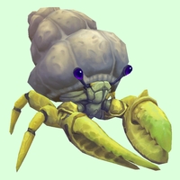 Yellow Hermit Crab