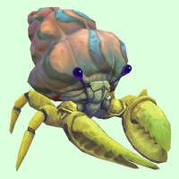 Yellow Hermit Crab w/ Pale Orange & Blue Shell