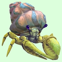 Yellow Hermit Crab w/ Pale Orange & Blue Shell