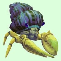 Yellow Hermit Crab w/ Purple & Green Shell