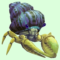 Yellow Hermit Crab w/ Purple & Green Shell