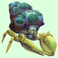 Yellow Hermit Crab w/ Green-Spotted Teal Shell