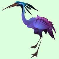 Purple Crane