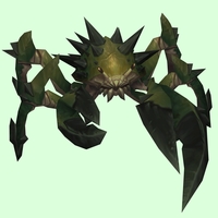 Dark Green Spiked Crab