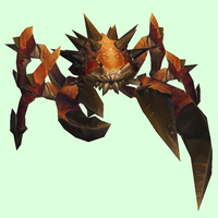 Mahogany Spiked Crab