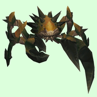 Rusty-Green Spiked Crab