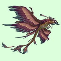Greater Purple-Pink Dragonhawk