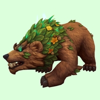 Brown & Green Dream Bear