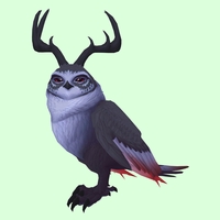 Black Somnowl w/ Pronged Antlers, No Ears, No Brows, Medium Tail