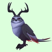 Black Somnowl w/ Pronged Antlers, No Ears, No Brows, Long Tail