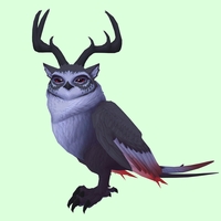 Black Somnowl w/ Pronged Antlers, Small Ears, No Brows, Long Tail