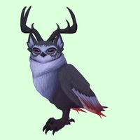 Black Somnowl w/ Pronged Antlers, Medium Ears, No Brows, Short Tail