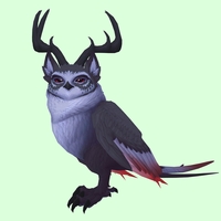 Black Somnowl w/ Pronged Antlers, Medium Ears, No Brows, Long Tail