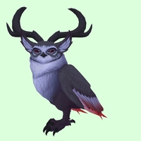 Black Somnowl w/ Crescent Antlers, Large Ears, No Brows, Stub-Tail