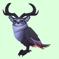 Black Somnowl w/ Crescent Antlers, Large Ears, No Brows, Medium Tail