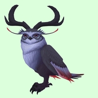 Black Somnowl w/ Crescent Antlers, No Ears, Wide Brows, Medium Tail