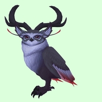 Black Somnowl w/ Crescent Antlers, Large Ears, Wide Brows, Stub-Tail