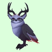 Black Somnowl w/ Pronged Antlers, Large Ears, Crested Brow, Stub-Tail