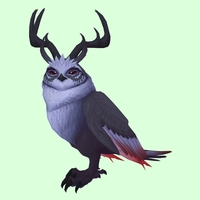 Black Somnowl w/ Pronged Antlers, No Ears, Horned Brows, Medium Tail