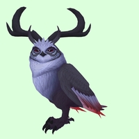 Black Somnowl w/ Crescent Antlers, No Ears, Horned Brows, Short Tail